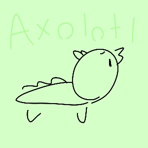 Axolotl