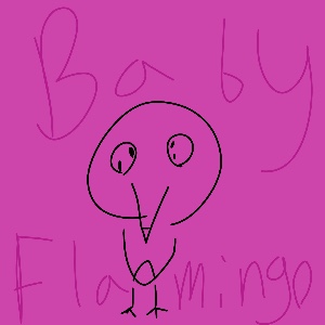 Baby Flamingo