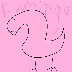 Flamingo