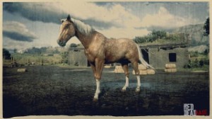 American Standardbred