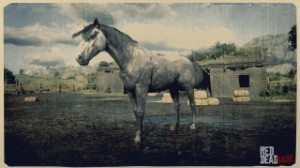 Andalusian