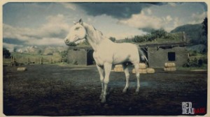 Arabian