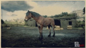Mustang