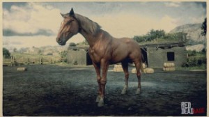 Tennessee Walker
