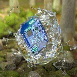 save