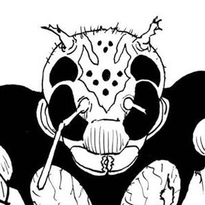 Ant Queen
