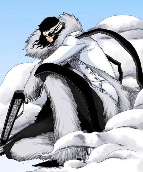 Coyote Starrk