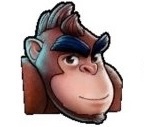 Fixed Rilla Roo