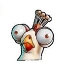 King Chicken