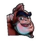 Rilla Roo