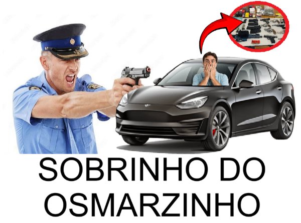 Preso em Cocal dos Alves com Arsenal de Armas Dentro do Carro