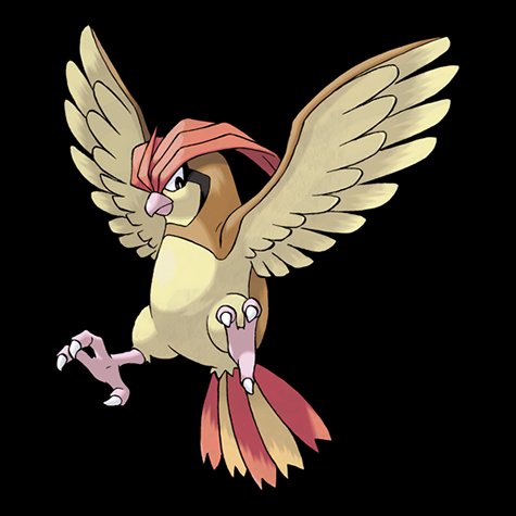 Podgeotto