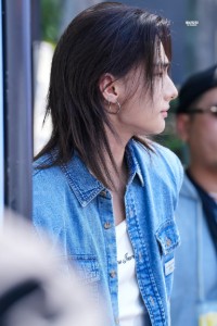 Long Wolfcut