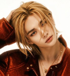 Medium Blonde Hair