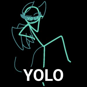 YOLO