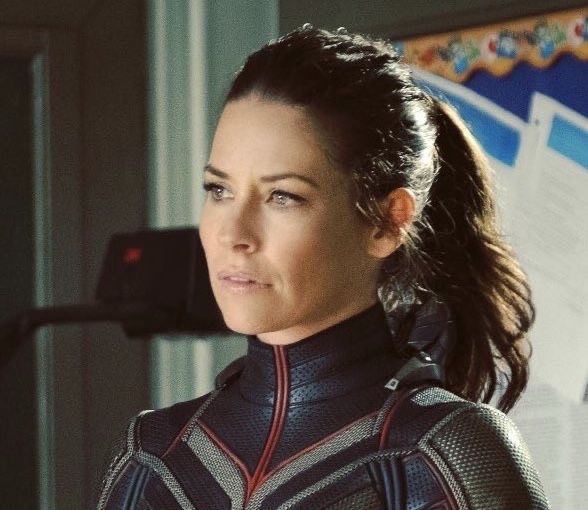 Wasp