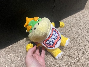 Bowser Jr