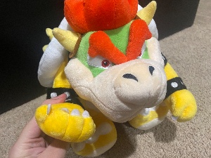 Bowser