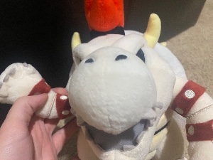 Dry Bowser