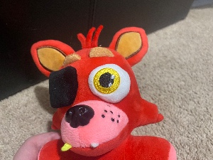 Foxy