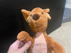 Kanga
