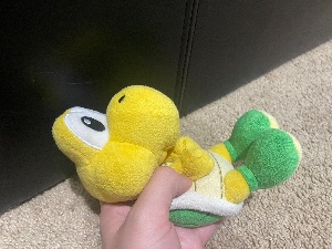 Koopa