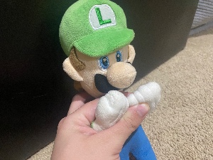 Luigi