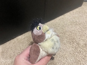 Owl