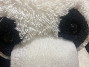 Panda Von Punch