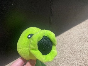 Peashooter