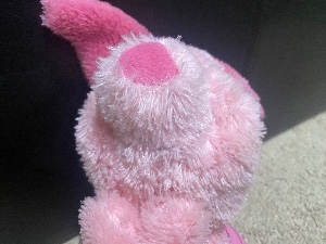 Piglet