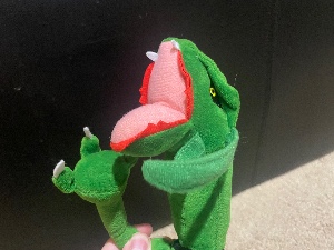 Rayquaza