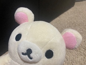 Teddy