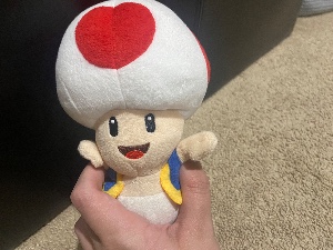 Toad