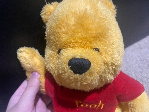 Winnie the Pooh