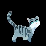 Feathertail