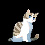 Ivypool