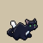 Ravenpaw
