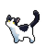 Swiftpaw