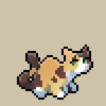 Tawnypelt