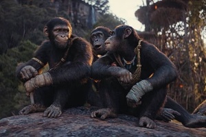 Kingdom of the Planet of the Apes