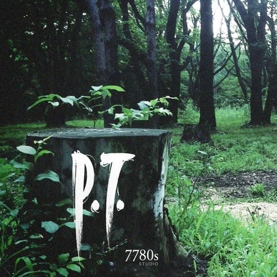 P.T (Silent Hills Playable Teaser)