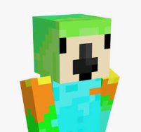 Parrotx2