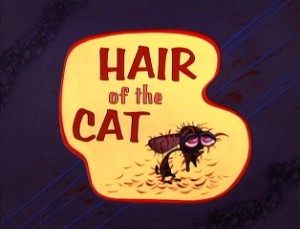 Hair of the Cat