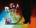 It's a Dog's Life