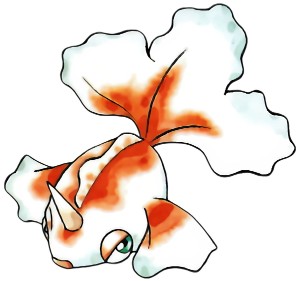 Goldeen