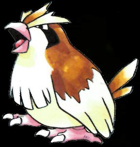 Pidgey