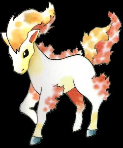 Ponyta
