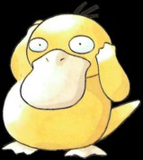Psyduck