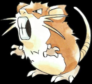 Raticate